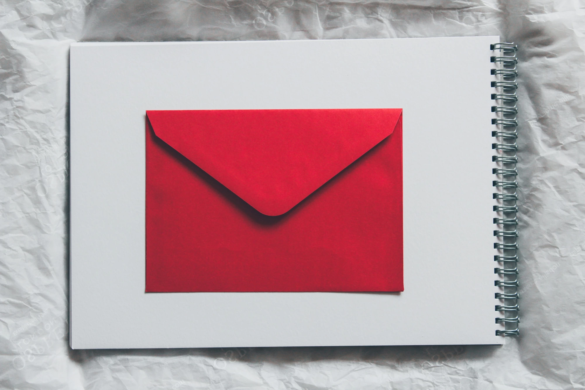 Newsletter Image