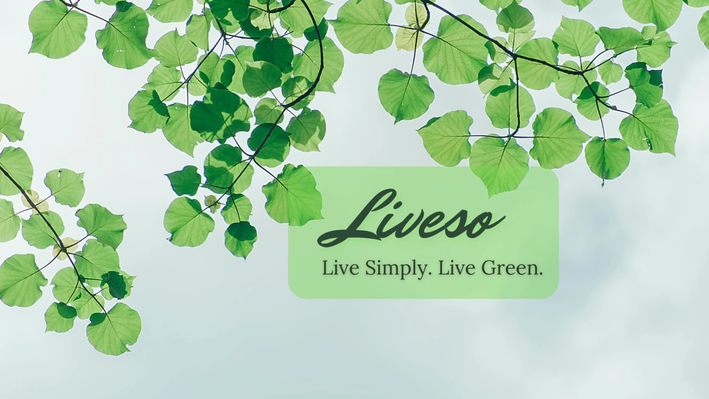 Cover Photo