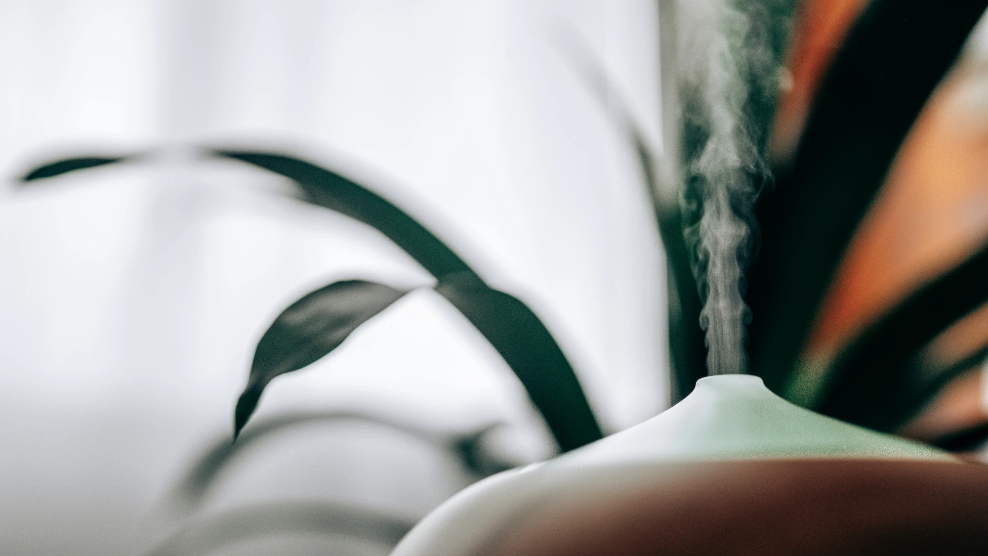 Small home humidifier on a table next to a plant