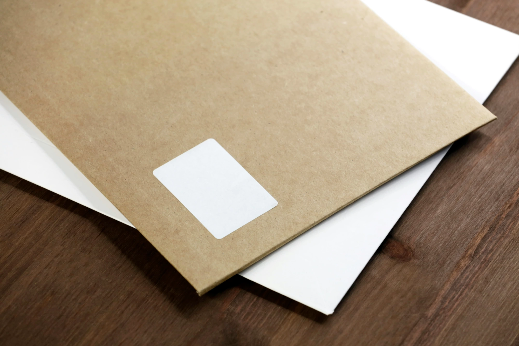Newsletter Image