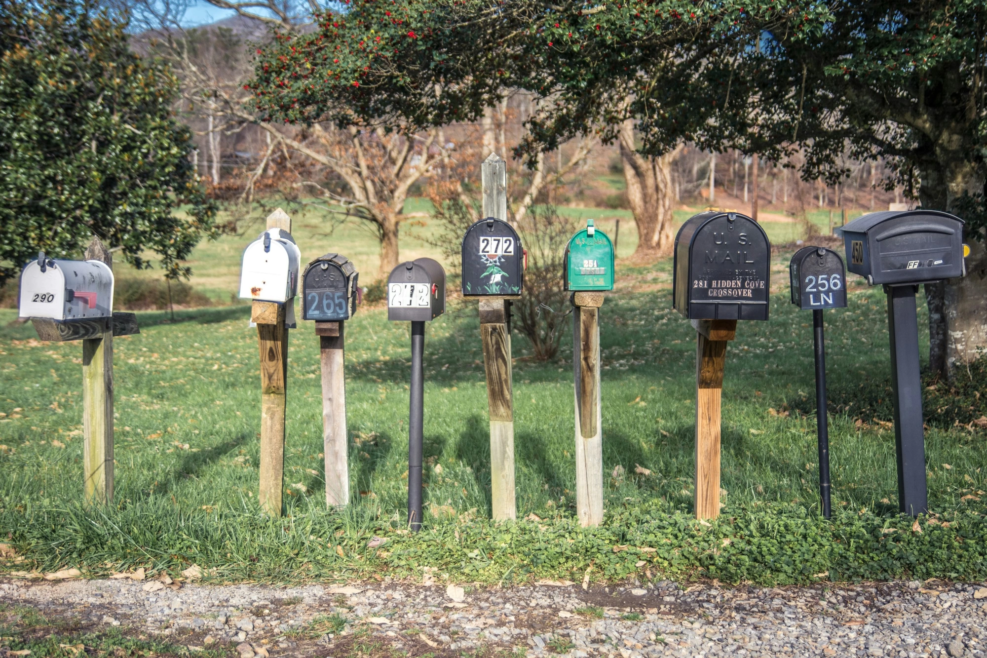 Newsletter Image