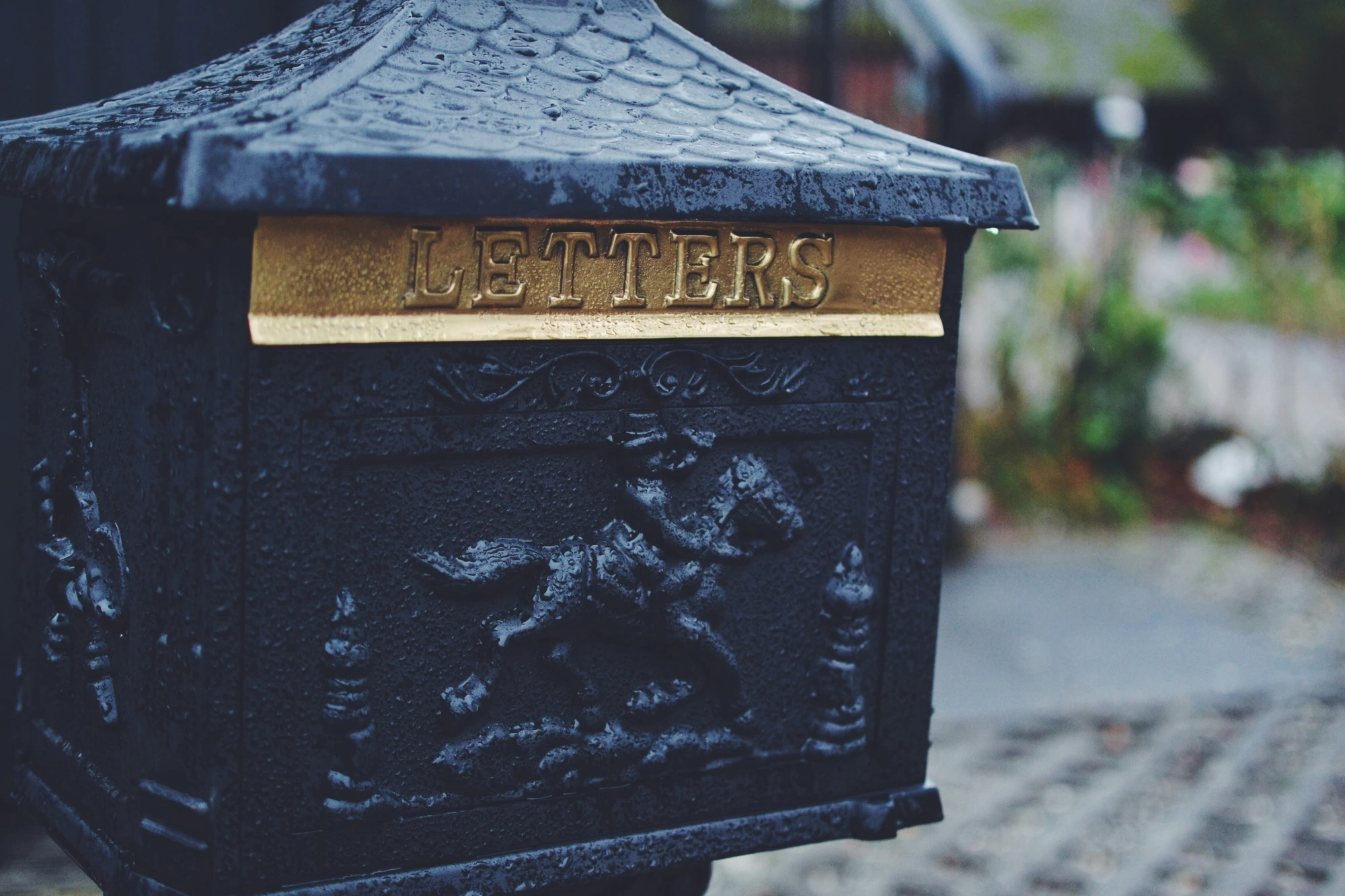 Newsletter Image