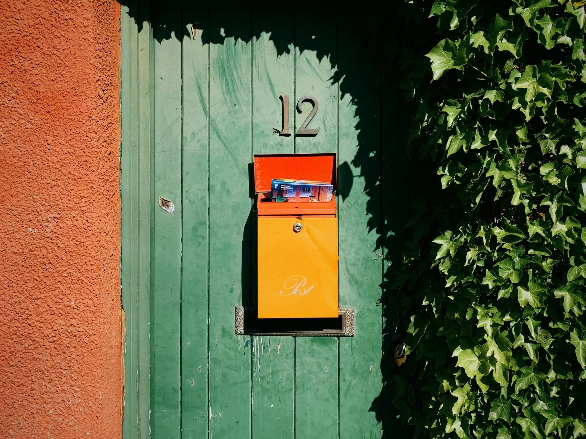Newsletter Image