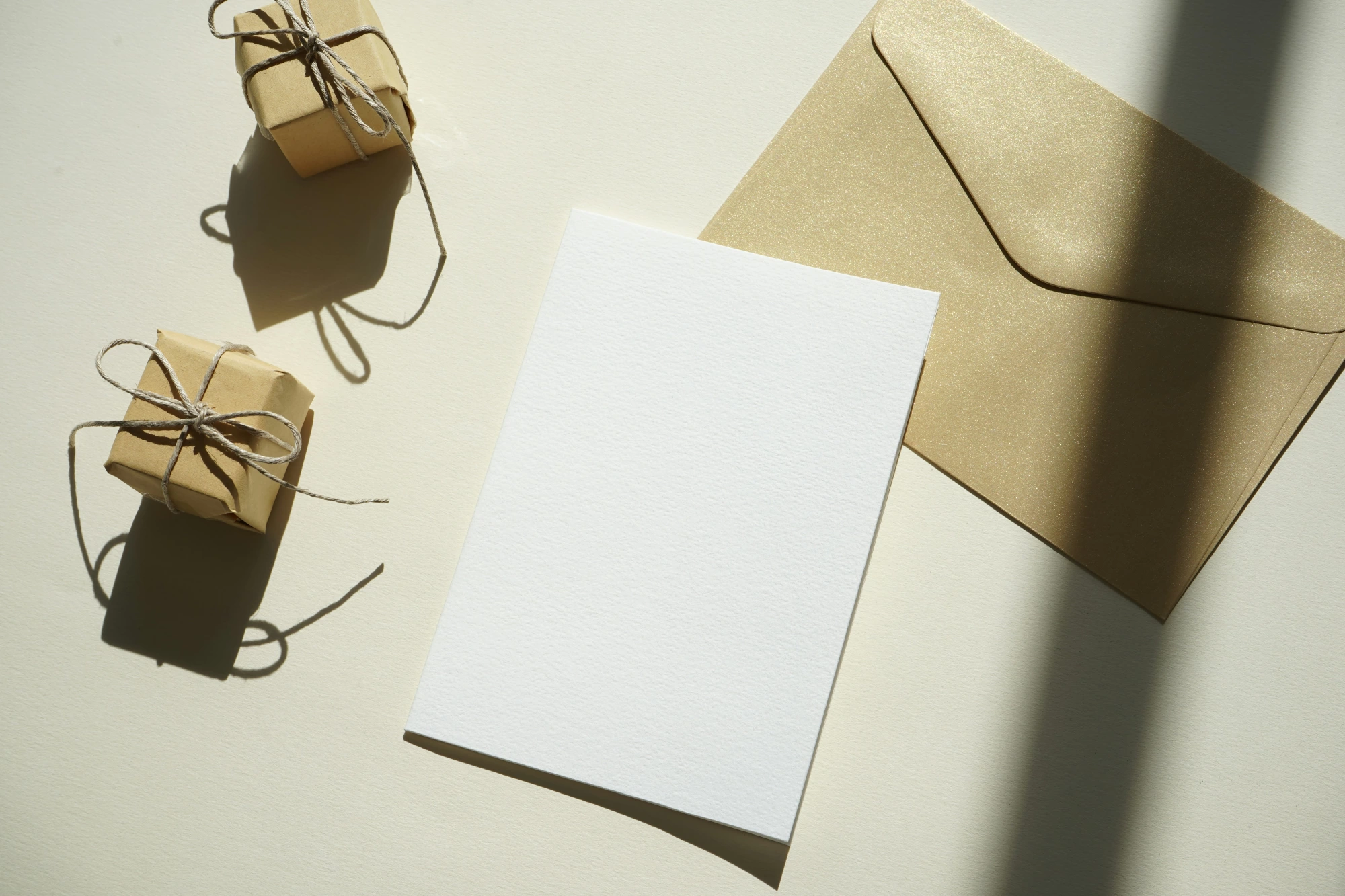 Newsletter Image