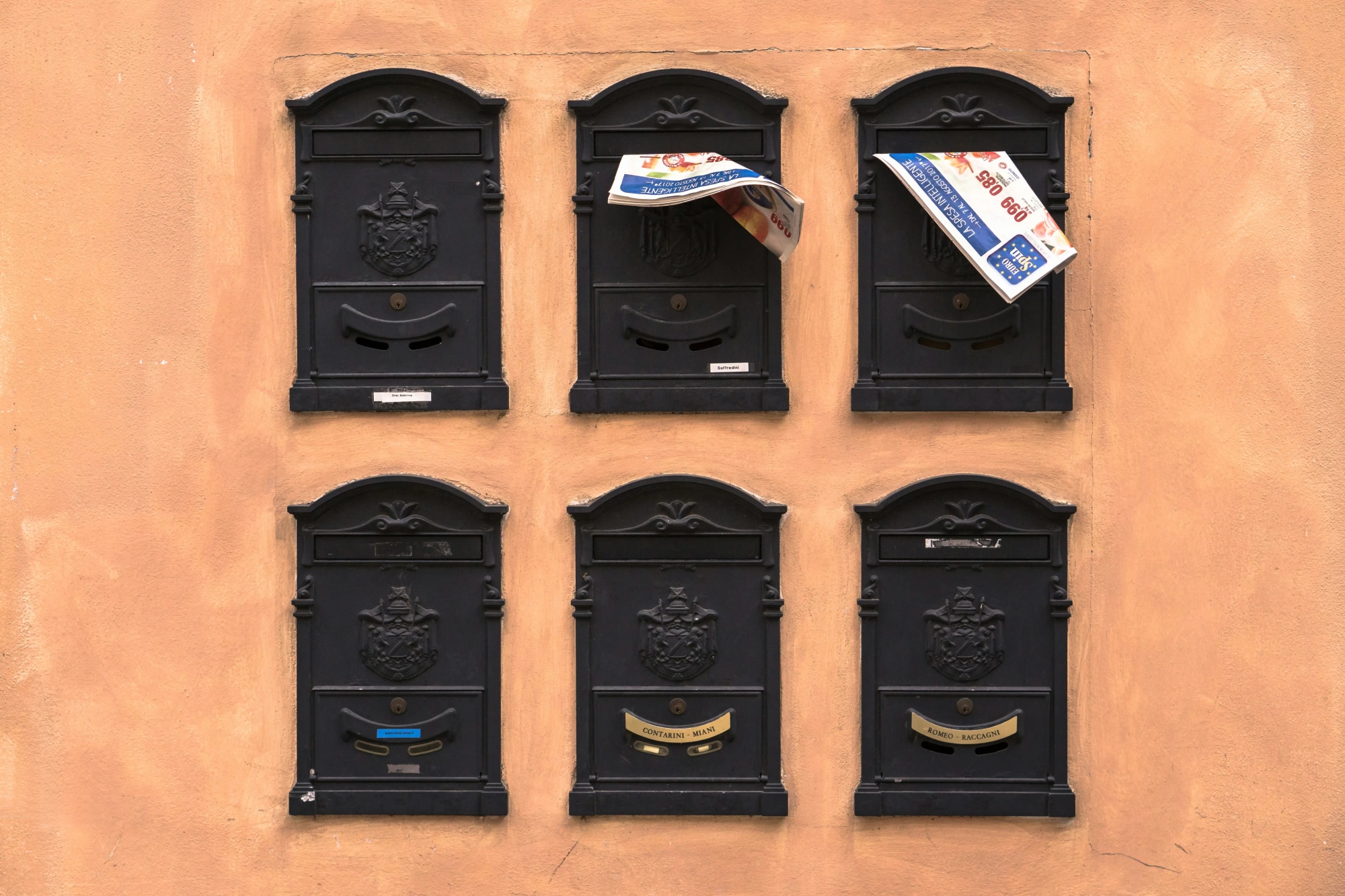 Newsletter Image