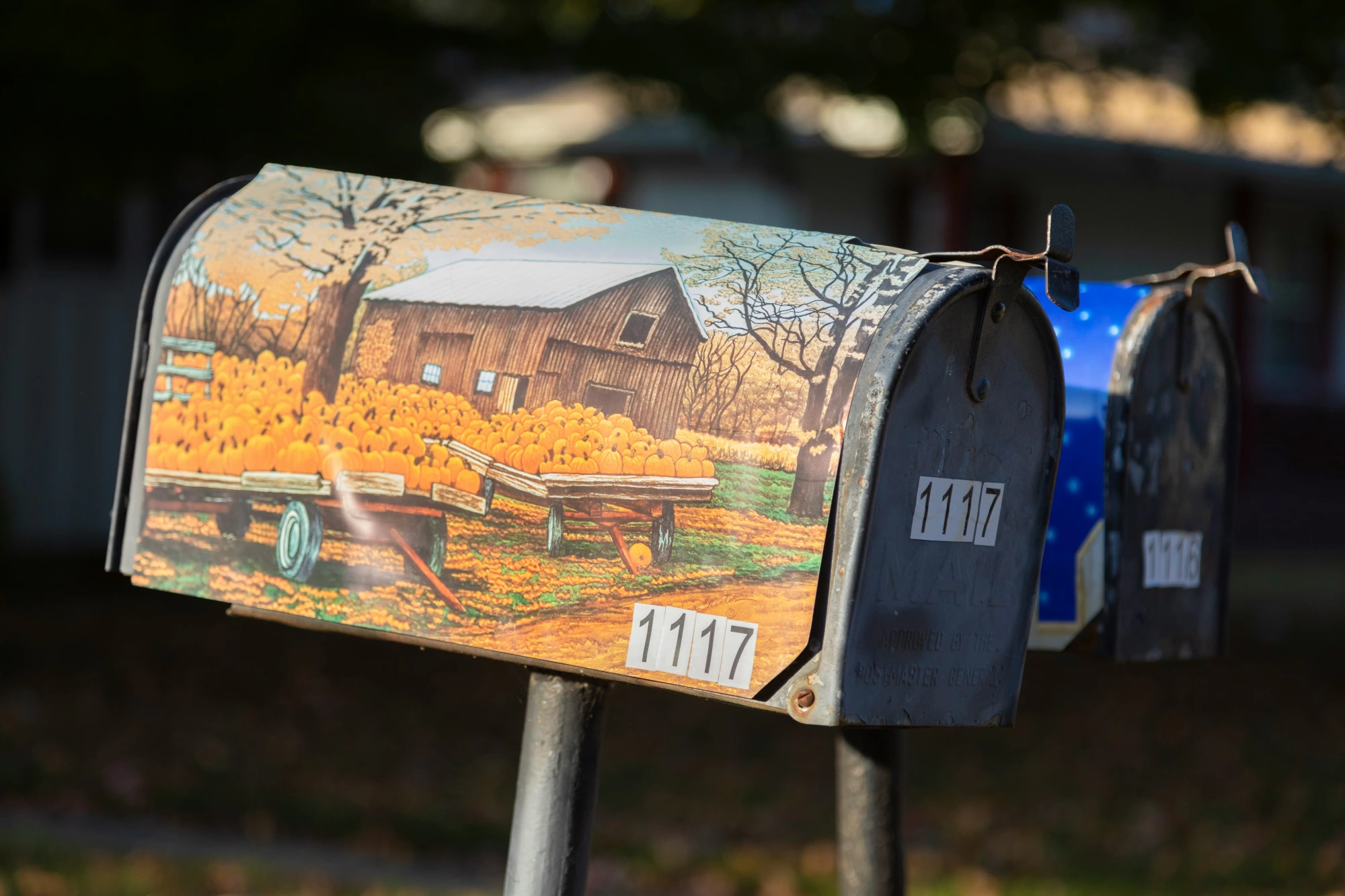 Newsletter Image