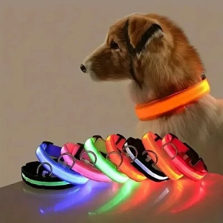 LED Dog Leash & Collar Set – Glow-in-the-Dark Nylon Gear for Night Walks & Pet Safety