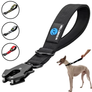 Short Metal Buckle Pet collar - neck leash