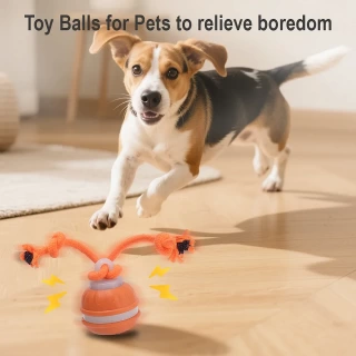 Rolling ball Smart Pet Ball Endless Chase Fun
