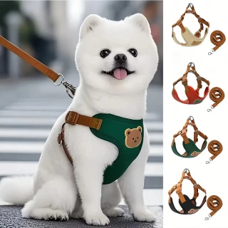 Small - Medium Dog Harness Leash