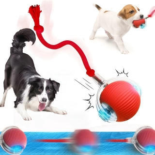 Smart Interactive Rolling Ball for Dogs & Cats – Automatic Rechargeable Pet Toy That Moves Like a Mouse