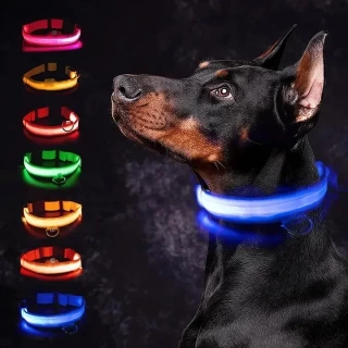 LED Glowing Dog Collar with Flashing Lights