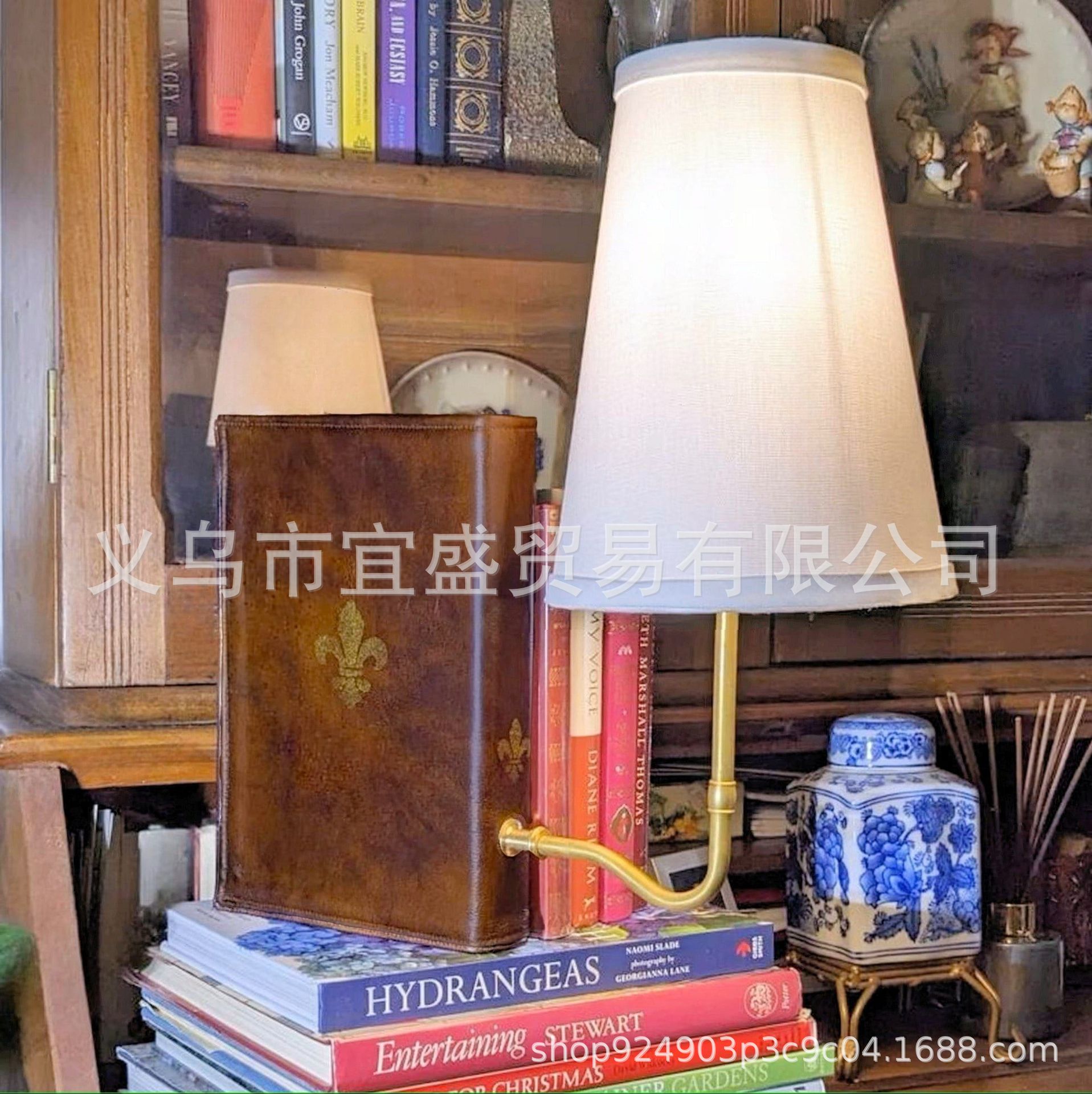 Bookshelf Lamp — Vintage Charm Meets Illumination - Trending Garden & Patio Essentials Product April 2026