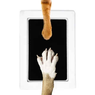 PawPrintStation – Mess-Free Inkless Paw Print Keepsake Kit