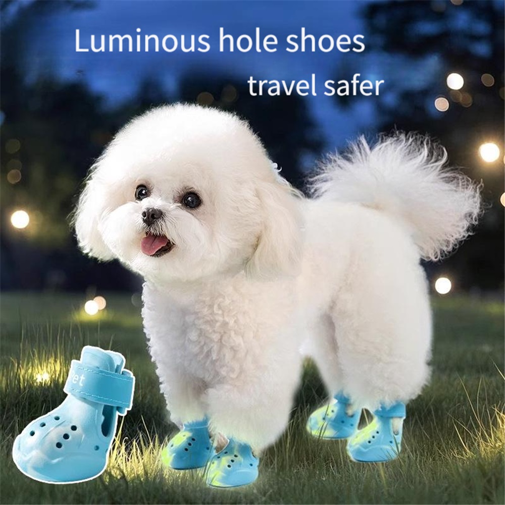 Shoes — Bright Steps, Soft & Secure - Trending Pet Products Product October 2026