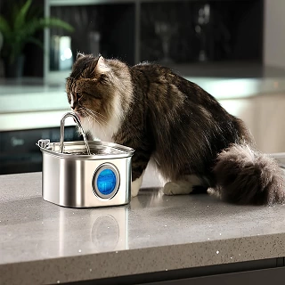 Stainless Steel Cat Water Fountain - 3.2L Automatic Drinker