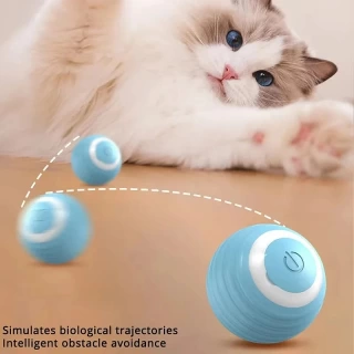 Cat Interactive Ball