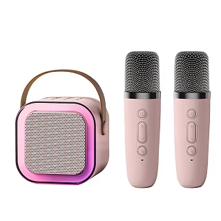 Wireless Portable Karaoke 
