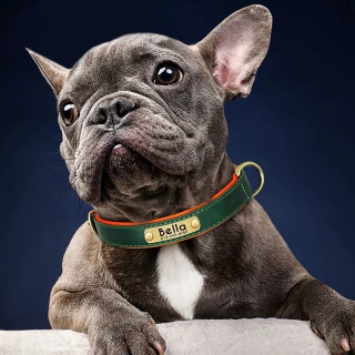 Quiet Luxury "Pet Collar" For Dogs 