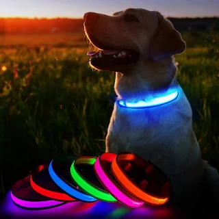 Dog Night Collar